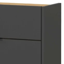 Wohnen 22 cm tiefer Schuhschrank in Dunkelgrau - Sidgarus