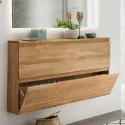 Wohnen Schränke*24 cm tiefer Wand Schuhschrank mit zwei Klappen - Sotunes