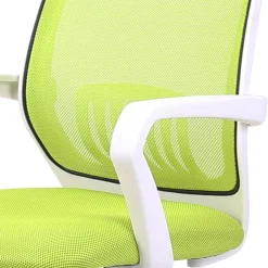 Wohnen Bürostühle*Armlehnen Büro-Drehstuhl in Hellgrün & Weiß - Lianessa