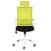 Wohnen Armlehnen Computerstuhl in Hellgrün & Schwarz - Veronica
