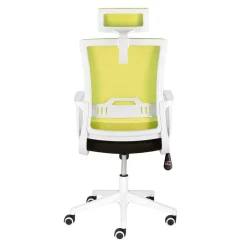 Wohnen Armlehnen Computerstuhl in Hellgrün & Schwarz - Veronica