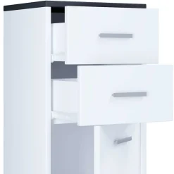 Wohnen Graue Möbel|Weiße Möbel*Bad Hochkommode mit Schubladen und Tür - Rondja