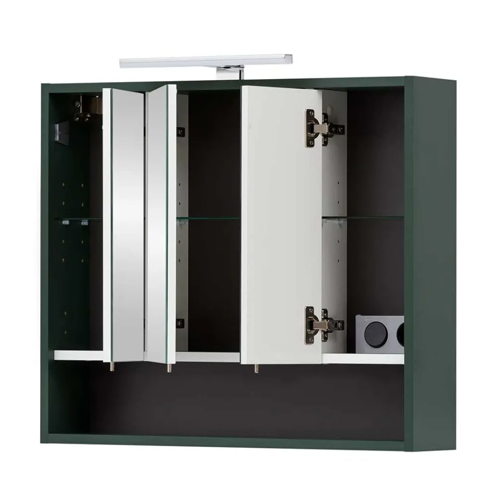 Wohnen Bad Spiegelschrank in Dunkelgrün - Aqua