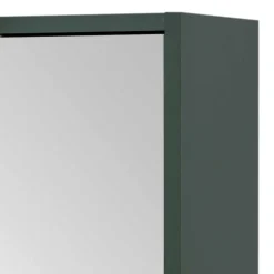 Wohnen Bad Spiegelschrank in Dunkelgrün - Aqua