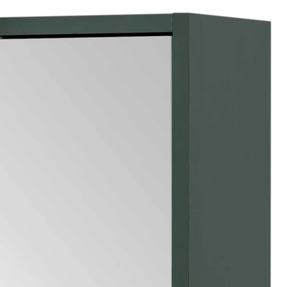 Wohnen Bad Spiegelschrank in Dunkelgrün - Aqua
