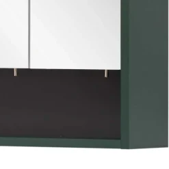 Wohnen Bad Spiegelschrank in Dunkelgrün - Aqua