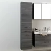 Wohnen Badezimmer Hochschrank Darina in Grau