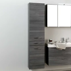 Wohnen Badezimmer Hochschrank Darina in Grau