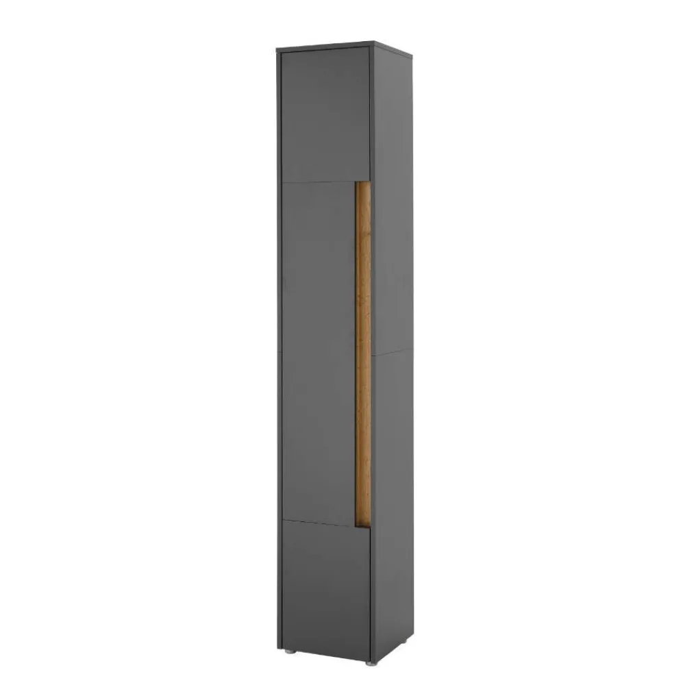 Wohnen Schränke*Badezimmer Hochschrank in Anthrazit - Ahilav