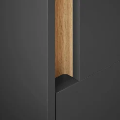 Wohnen Schränke*Badezimmer Hochschrank in Anthrazit - Ahilav