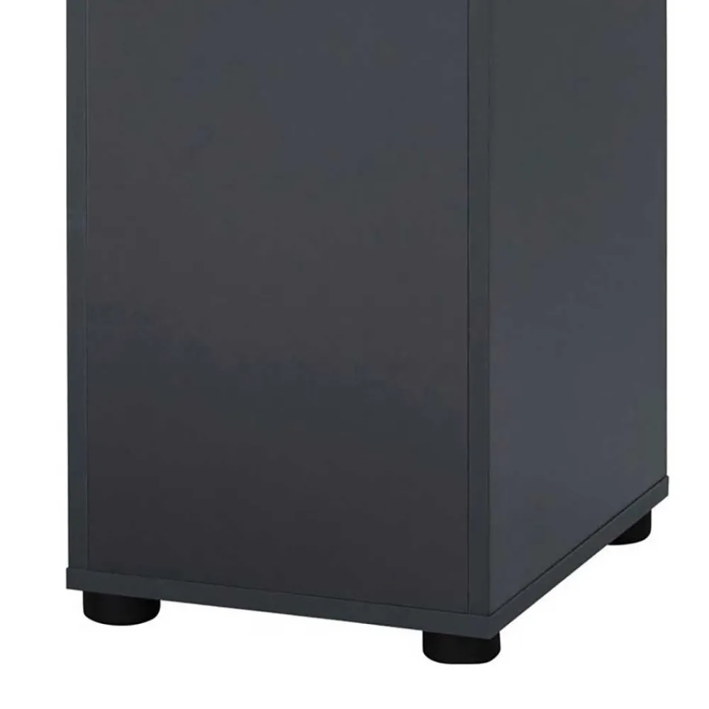 Wohnen Schränke*Badezimmer Hochschrank in Anthrazit mit Wildeiche - Rigori