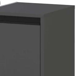 Wohnen Graue Möbel|Glasmöbel*Badezimmermöbel Kombi in Dunkelgrau - Rufu (fünfteilig)