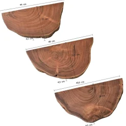 Wohnen Esszimmerregale|Regale*Baumscheiben Wandboards aus Akazie Massivholz - Tofana (dreiteilig)