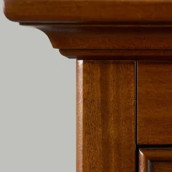 Wohnen Wohnzimmerschränke|Vitrinen*Beleuchtete Vitrine in Walnuss Braun - Istefanio