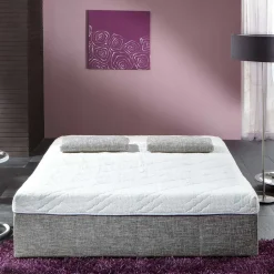 Wohnen Bettsofa zum Ausklappen in hellem Silbergrau - Tropez