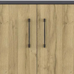 Wohnen Büroschränke*Büroschrank in Wildeiche NB & Dunkelgrau - Disgano I