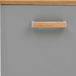 Wohnen Waschtisch|Waschbeckenunterschränke*65cm breiter Waschbeckenunterschrank in Platingrau - Nienzo