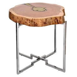 Wohnen Design Beistelltisch aus Baumscheibe - Spain