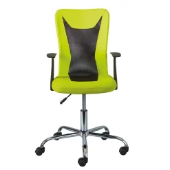 Wohnen Design Bürostuhl in Hellgrün & Schwarz - Next