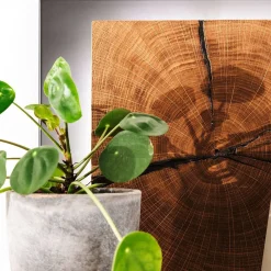 Wohnen Design Wandregal mit Beleuchtung - Drinidad