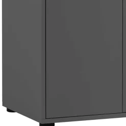 Wohnen Doppeltür-Aktenschrank in Anthrazit - Brasova