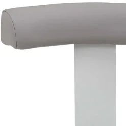 Wohnen Drehhocker mit Lehne in Grau & Alu - Liony