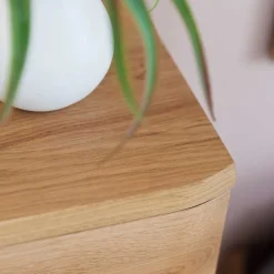 Wohnen Echtholz Kommode 2-türig - Mabasa