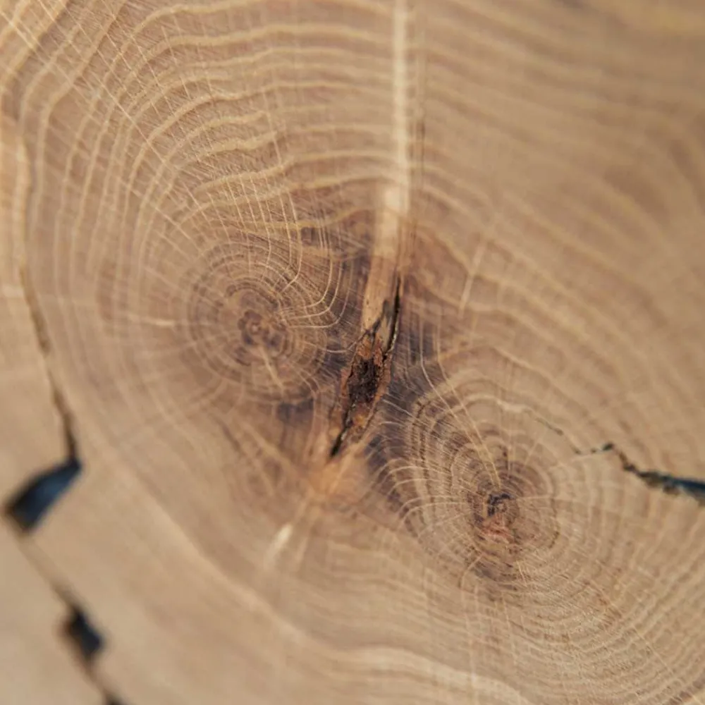 Wohnen Eichenholz Highboard mit Hirnholz Applikation - Deruta