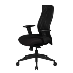 Wohnen Bürostühle*Ergonomischer Office Stuhl mit Mesh Rücken - Adejano