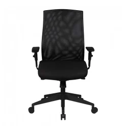 Wohnen Bürostühle*Ergonomischer Office Stuhl mit Mesh Rücken - Adejano