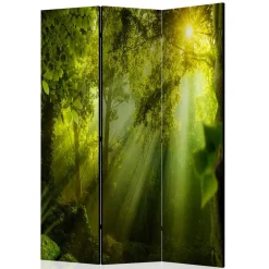 Wohnen Paravents*Faltbarer Paravent Wald & Sonne - Pulany