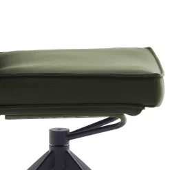 Wohnen Federkern Lederstühle in Oliv Grün - Synfrunia (2er Set)