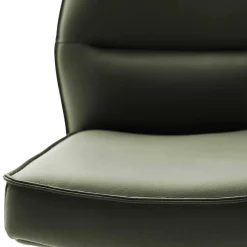 Wohnen Federkern Lederstühle in Oliv Grün - Synfrunia (2er Set)