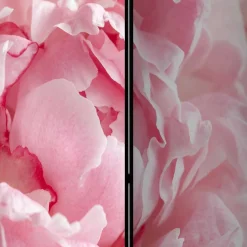Wohnen Paravents|Wohnzimmer-Regale*Foto Paravent Close Up Rosen in Rosa - Soms