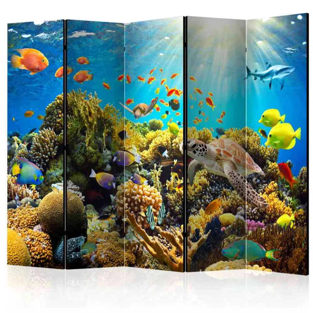 Kinder Wohnen Foto Paravent Korallenriff & Meerestiere - Ceskan