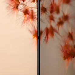 Wohnen Paravents*Foto Paravent mit Naturmotiv Gras Close Up - Kesska