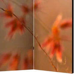 Wohnen Paravents*Foto Paravent mit Naturmotiv Gras Close Up - Kesska