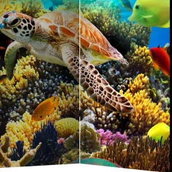 Wohnen Paravents|Kinder-Paravents*Foto Paravent Riff Bewohner & Trauminsel - Tarantro