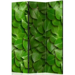 Wohnen Paravents*Foto Print Paravent mit Motiv Blätter - Latemar