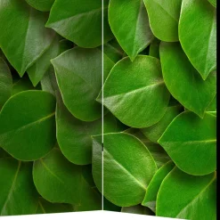 Wohnen Paravents*Foto Print Paravent mit Motiv Blätter - Latemar