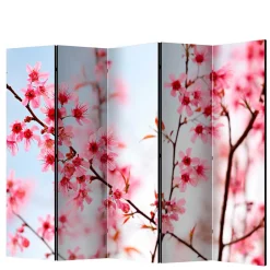 Wohnen Foto Trennwand Kirschblüte in Rosa & Blau - Filler