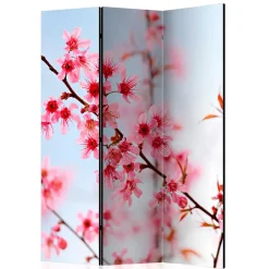 Wohnen Foto Trennwand Kirschblüte in Rosa & Blau - Filler