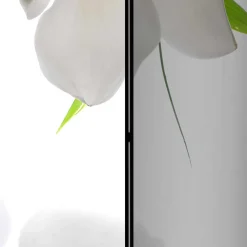 Wohnen Foto Trennwand mit Asien / Zen Motiv - Siela