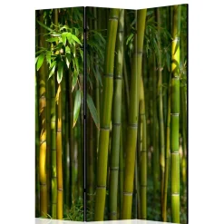 Wohnen Wohnzimmer-Regale|Paravents*Fotodruck Paravent Bambus Halme & Blätter - Lecodas