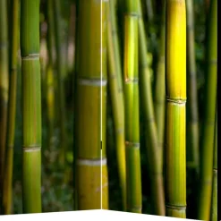 Wohnen Wohnzimmer-Regale|Paravents*Fotodruck Paravent Bambus Halme & Blätter - Lecodas