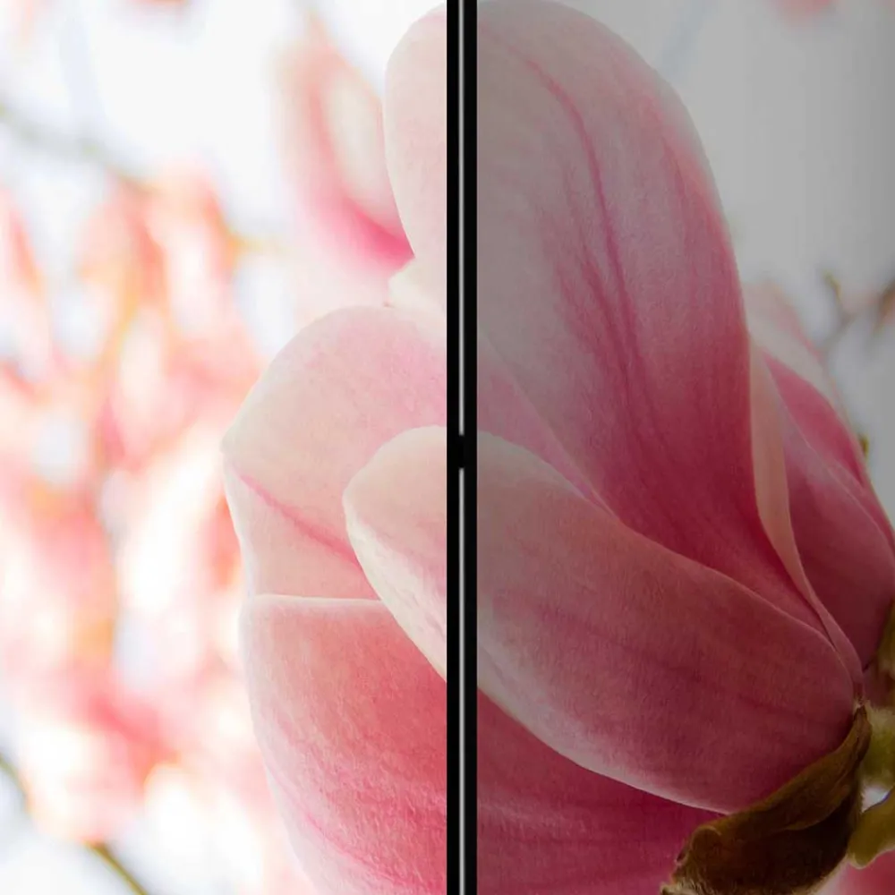 Wohnen Fotodruck Paravent mit Motiv Pinke Magnolien - Amuting