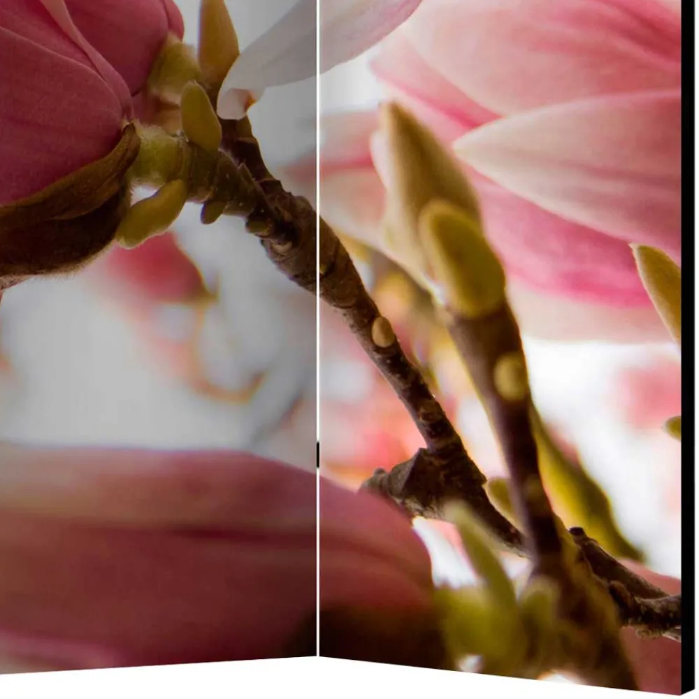 Wohnen Fotodruck Paravent mit Motiv Pinke Magnolien - Amuting