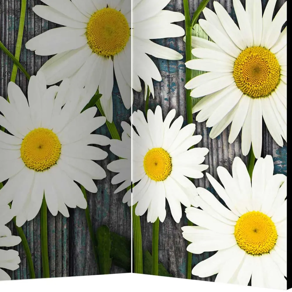 Wohnen Fotodruck Trennwand mit Margheriten Motiv - Badehma