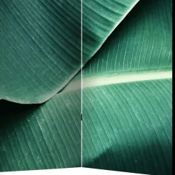 Wohnen Paravents*Fotomotiv Paravent mit Close Up Bananenblätter - Yanicol