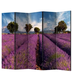 Wohnen Paravents*Fotomotiv Raumteiler Lavendelfeld Provence - Ozaro